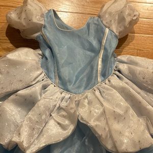 Cinderella Costume